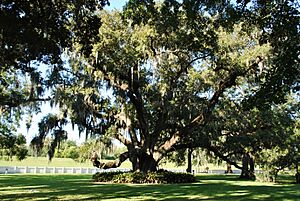 Destrehan Plantation, 2