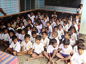 Elementary School