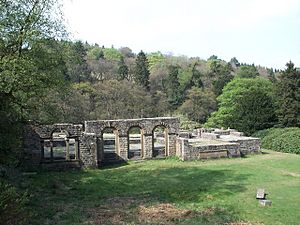 Errwood Hall Ruins - geograph.org.uk - 45024.jpg