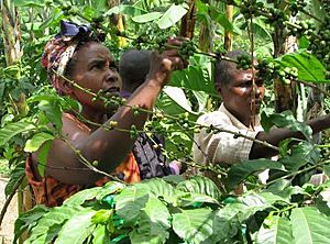 Female farmer benefits from agricultural training (6594883811)