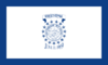 Flag of New Cumberland, West Virginia