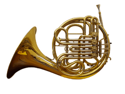 French horn front