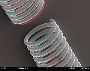 Fused Electrical Filament SEM Stereo 50x