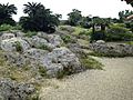 Garden of Shuri Castle 4