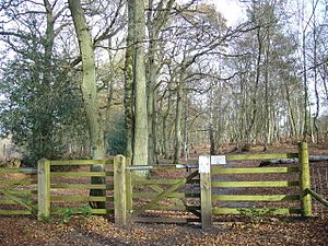 Gated bridleway on Chapel Common - geograph.org.uk - 1053934.jpg