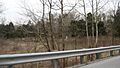 Grayson Springs Resort site overview