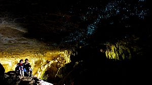 Green Glow Caves in New Zealand (6563152219)