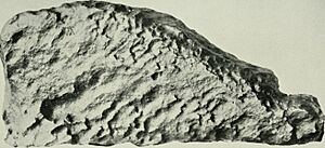 Guffey meteorite - The American Museum journal (c1900-(1918)) (17539305393)