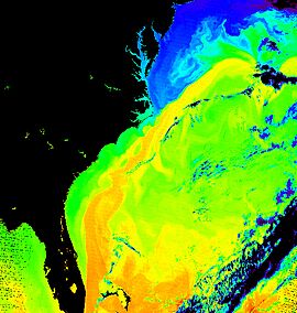 Gulf Stream water temperature