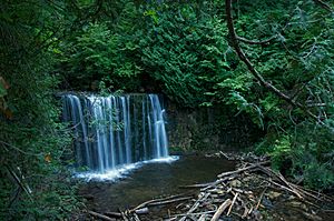 Hoggs Falls