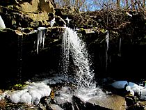 Huntsville-town-spring-waterfall-tn1