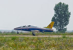 IAR 99, number 7003, landing
