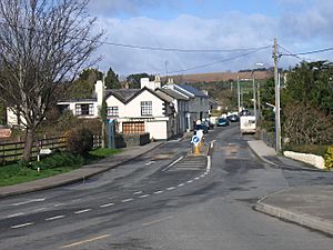 The village of Newcastle