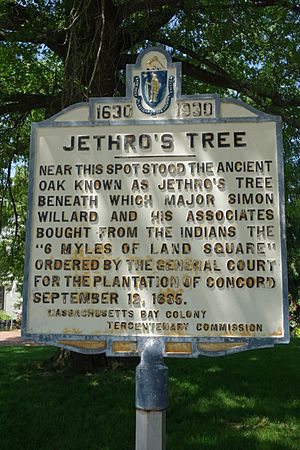 Jethro's Tree memorial - Concord, MA -DSC07005.JPG