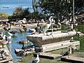 Lake Merritt Wild Duck Refuge (Oakland, CA)