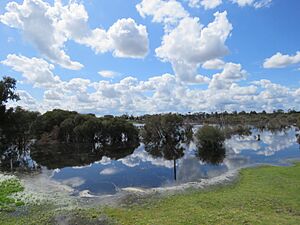 Lake Wattleup, September 2022 02