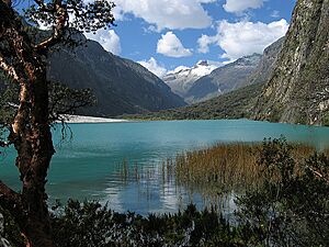 Llanganuco ancash