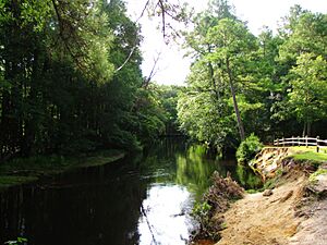 Lumber River at Chalk Banks