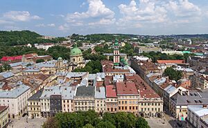 Lwów - Widok z wieży ratuszowej 01