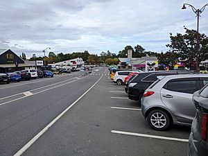 Main Road of Te Kauwhata