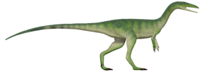 Megapnosaurus UDL