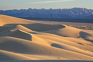 My Public Lands Roadtrip- Cadiz Dunes Wilderness in California (18720555819)