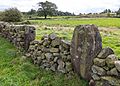 Nine Stones Close, Derbyshire; removed upright in field gate