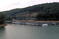 Norris-lake-marina-tn1