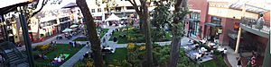 Oakway Center.jpg