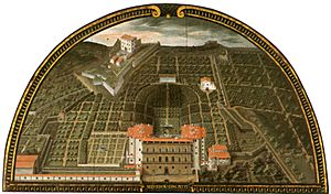 Pitti boboli utens