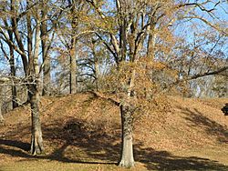 Pocahontas Mound A.jpg