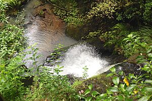 Pohuehue Waterfall