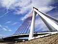 Puente Puerta de Las Rozas