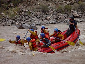Rafting Mendoza River