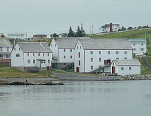 Ryan Premises Newfoundland (crop)