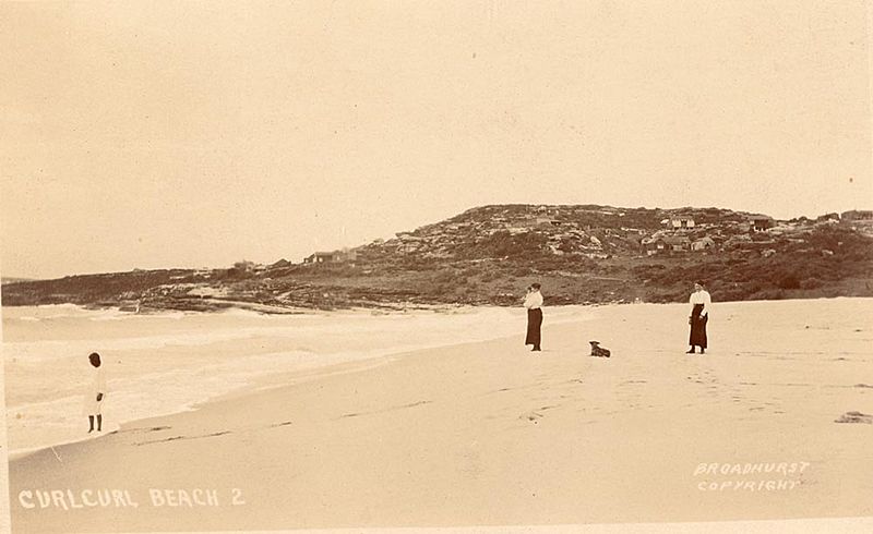 SLNSW 796280 Curl Curl Beach