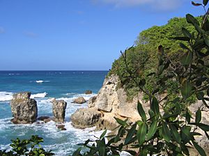 Saint Lucy, Barbados 019