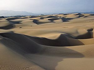 Sand dunes - Oceano CA