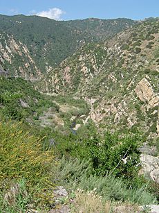 Santa monica mountains canyon
