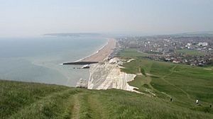 Seaford Cliff & Beach East Sussex, viewed from Seaford Head (May 2006).jpg