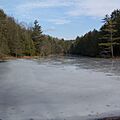 Seneca State Forest-square