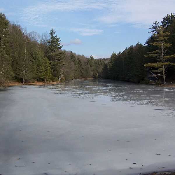 Seneca State Forest-square