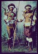 Solomon Islands warriors