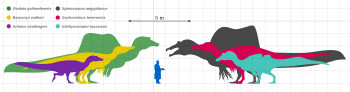 Spinosauridae Size Diagram by PaleoGeek - Version 2