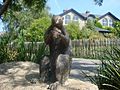 Squirrel sculpture marking 150th anniversary of Dublin Zoo