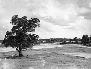 StateLibQld 1 131059 Brisbane suburb of Lota, near the foreshore, ca. 1935