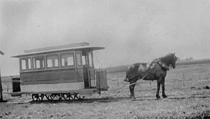 StateLibQld 2 390817 Horsedrawn tram on St. Helena Island, 1928