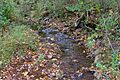 Stony Run