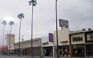 Studio City's Ventura Boulevard Shopping District