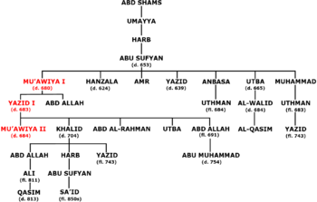 Sufyanid dynasty genealogy